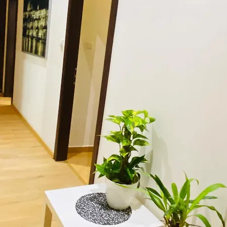 Service - Square Location Lejlighed Prag